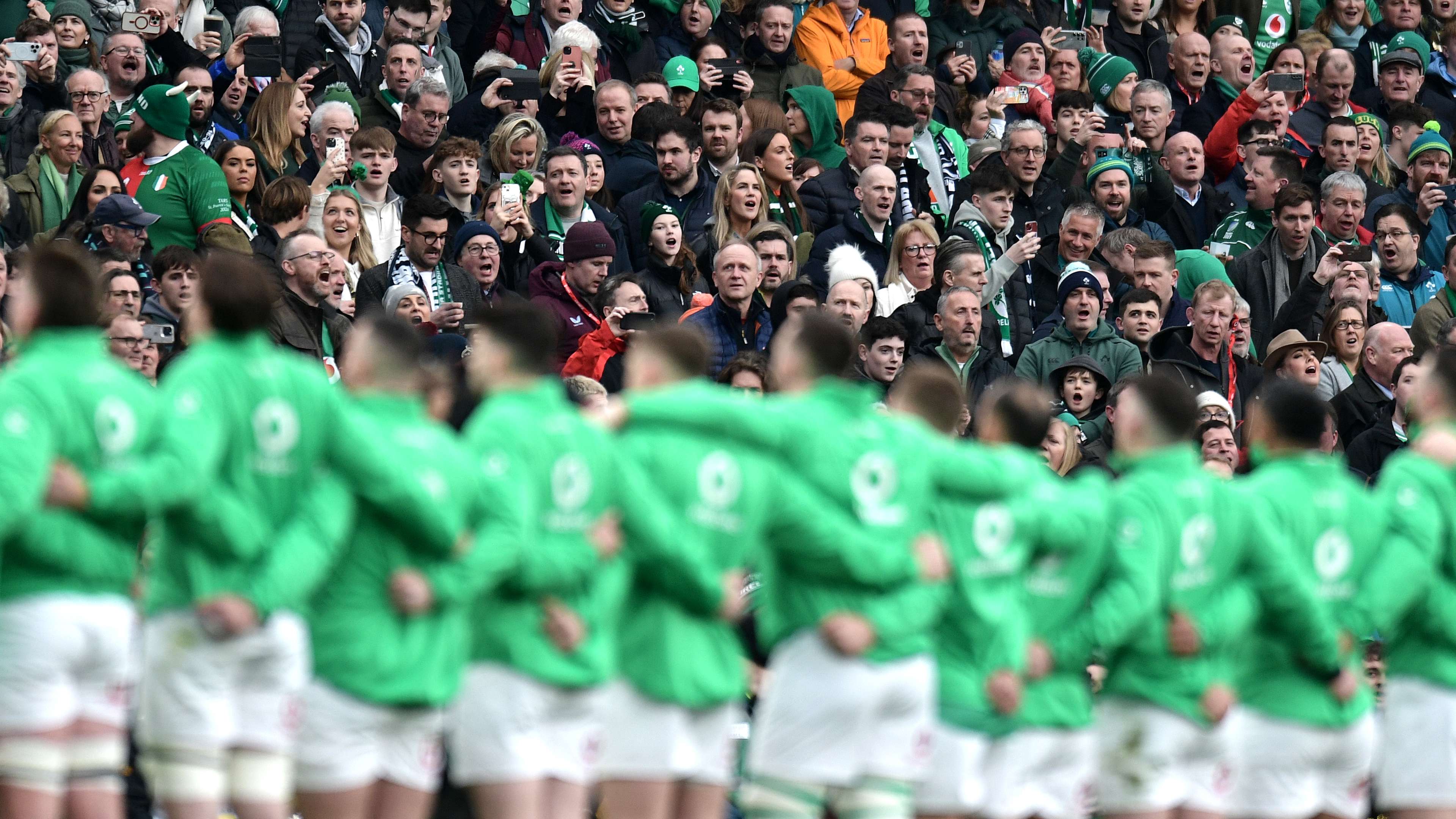 仅为受害者 仅为受害者