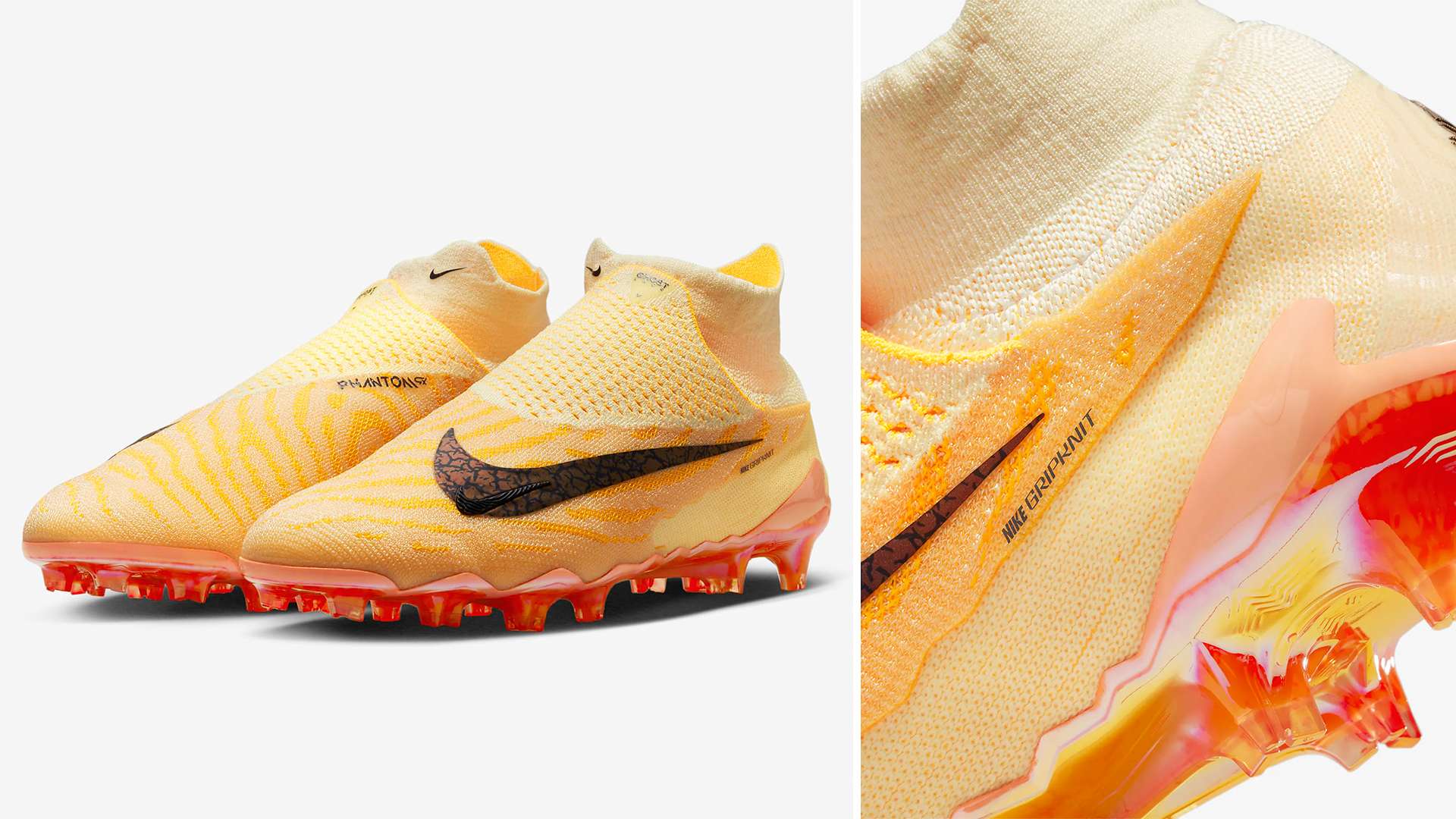 著的成绩 著的成绩