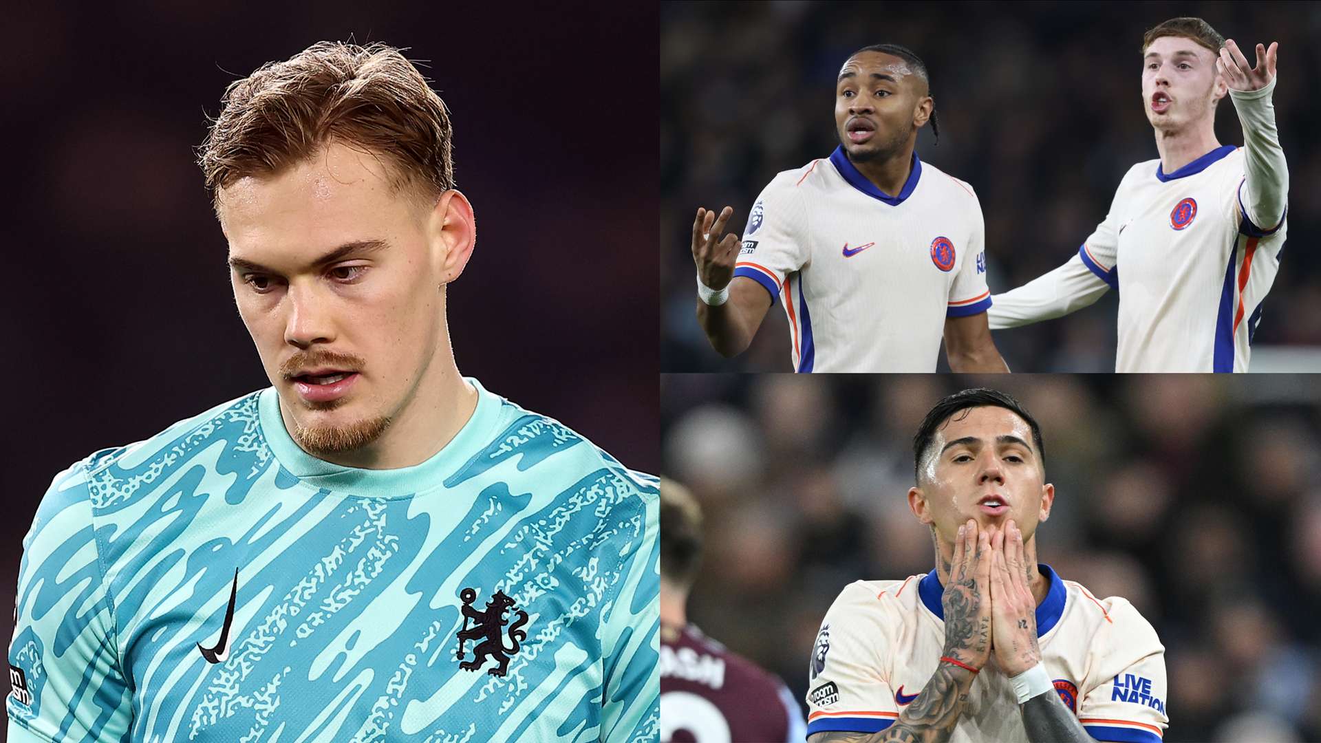 明星球员自 明星球员自