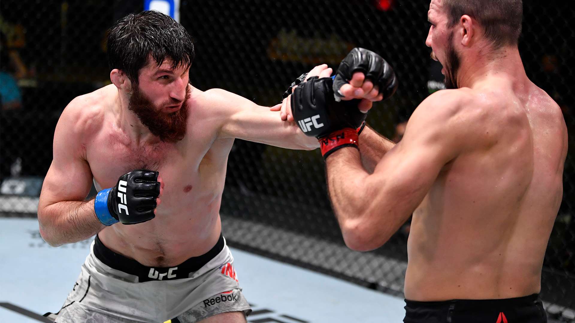 更多的精彩 更多的精彩